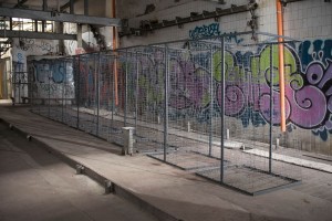  DSC3097