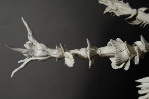  DSC8748